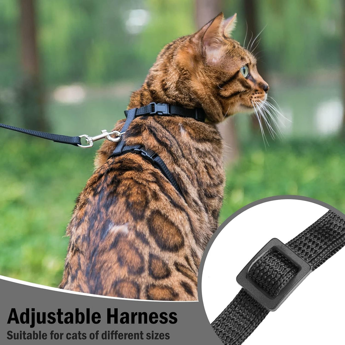 PUPTECK Adjustable Cat Harness and Leash Set Escape Proof Kitten