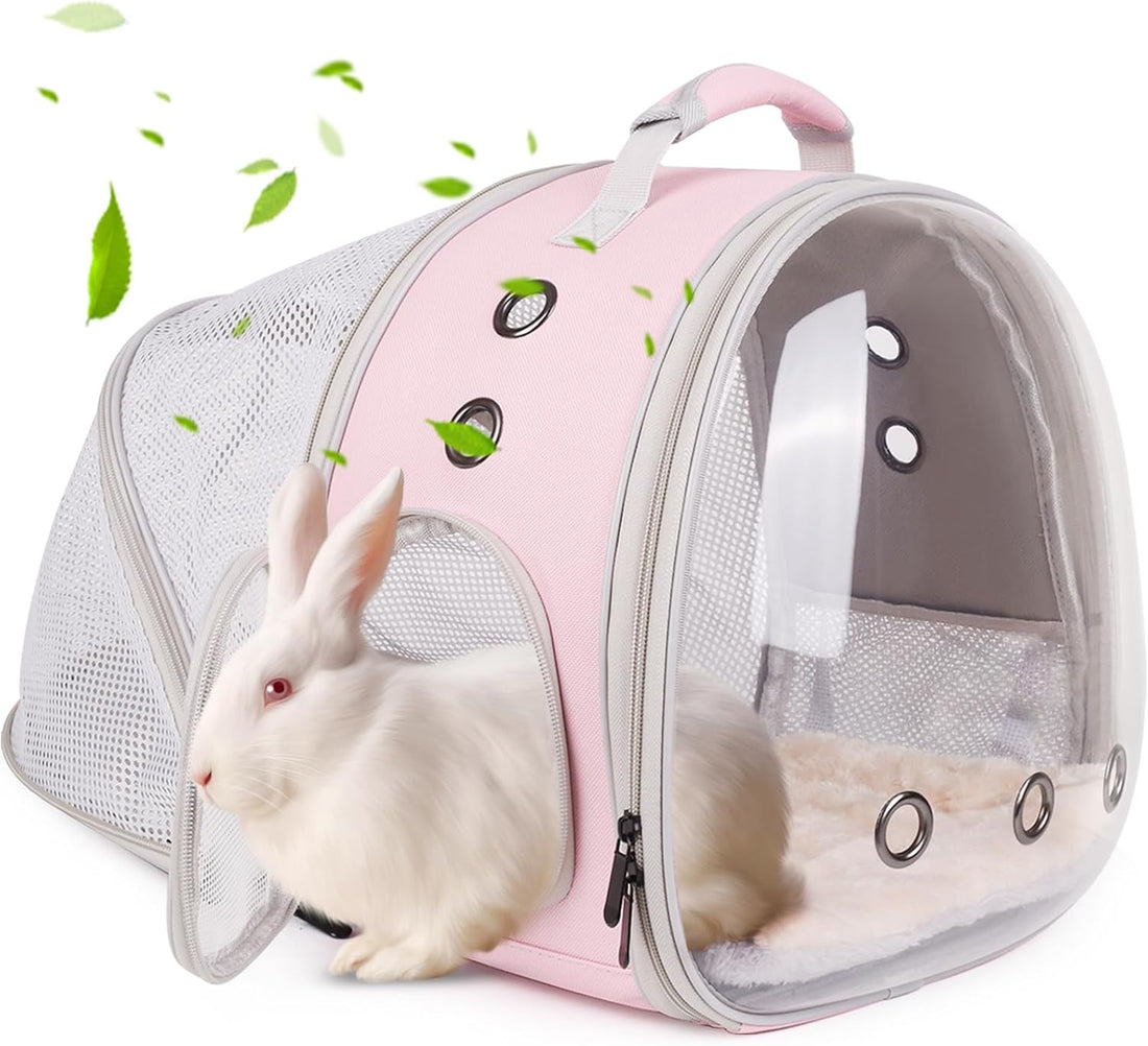 Back Expandable Backpack for Small Animals