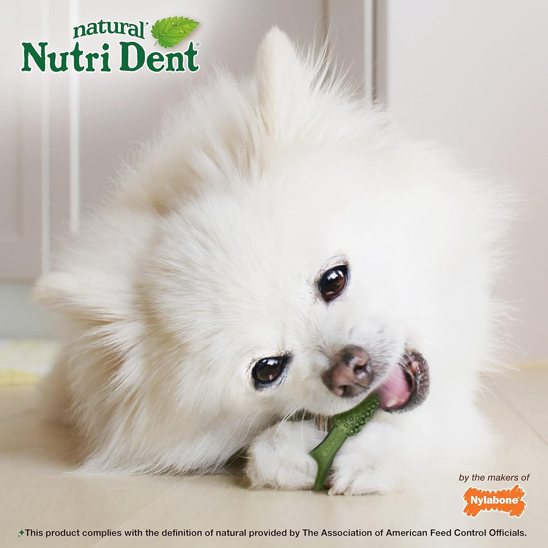 Nylabone Nutri Dent Natural Dental Chews for Dogs
