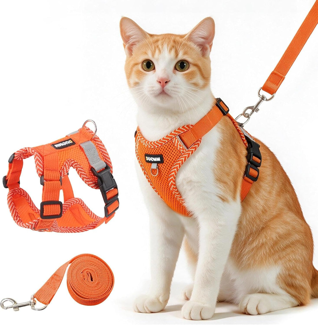 Large Cat Harness and Leash Set