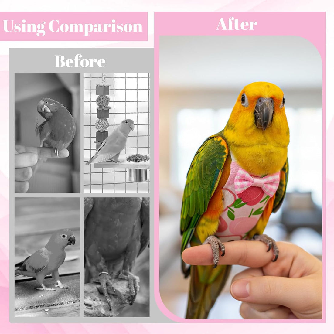 6Pcs Bird Diaper - Cute Parrot Pants with Waterproof (Medium)