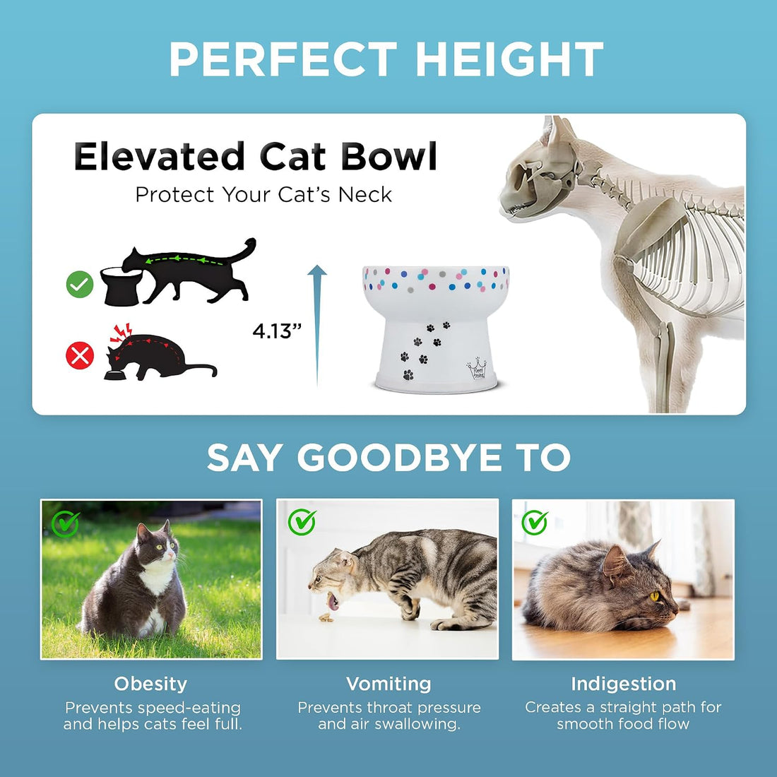 Necoichi Porcelain Elevated Cat Water Bowl, Whisker-Friendly