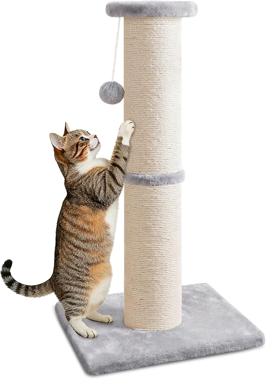 PAWSCRAT 32" Tall Cat Scratching Post, 5-Inch Diameter, Sisal