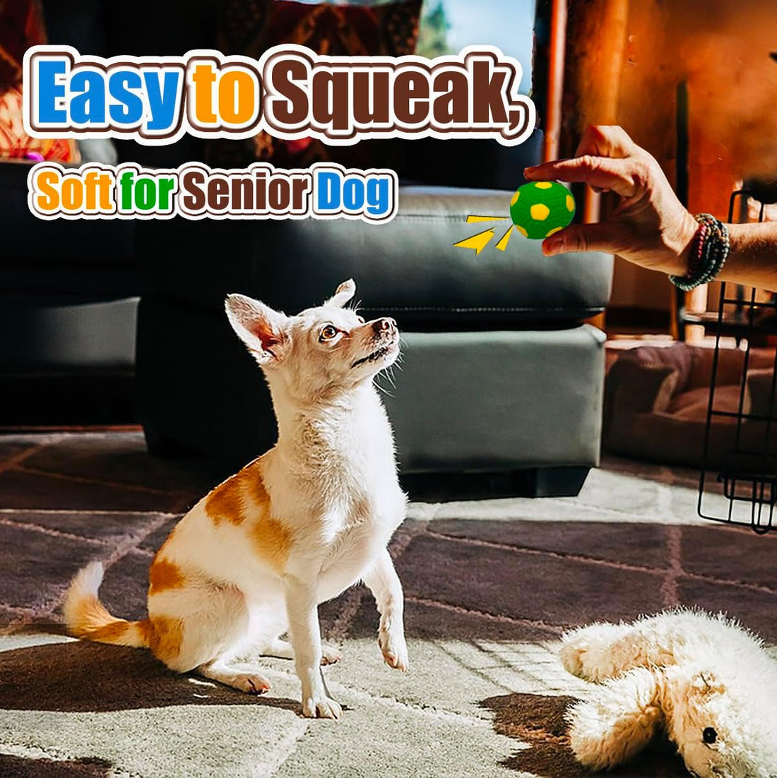 HOLYSTEED Squeaky Dog Toys for Small Dogs