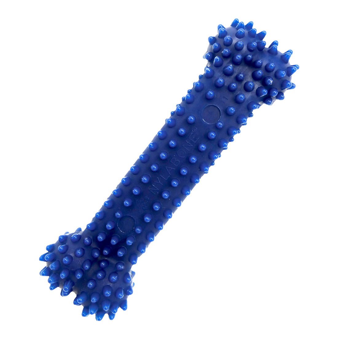 Nylabone Textured Dental Bone Flexi Chew Toy for Dogs