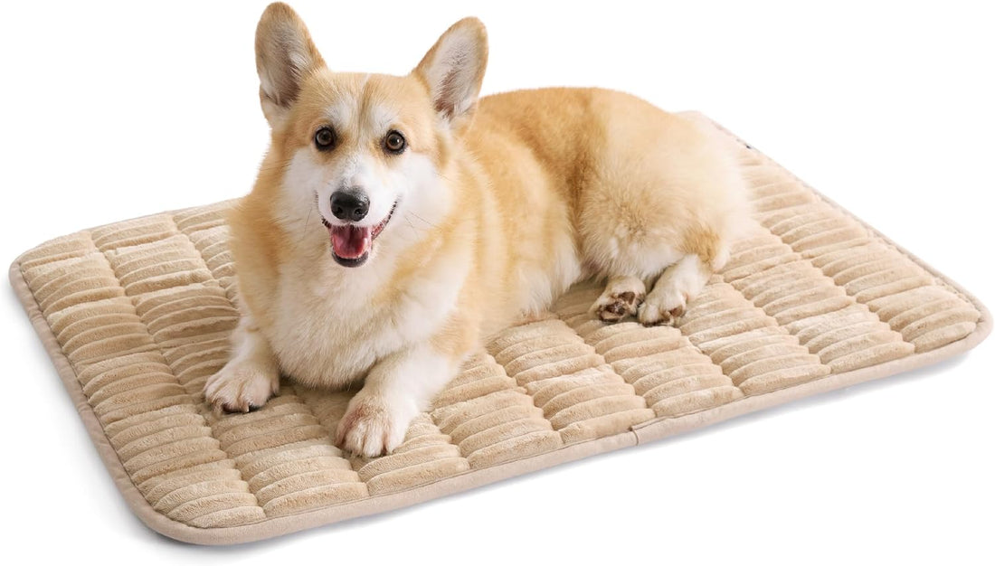 Bedsure ComfyFleece® Washable Dog Crate Pad,Soft Thin Medium Pet
