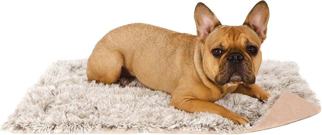 Furhaven Waterproof Throw Blanket for Dogs & Indoor Cats, Washable