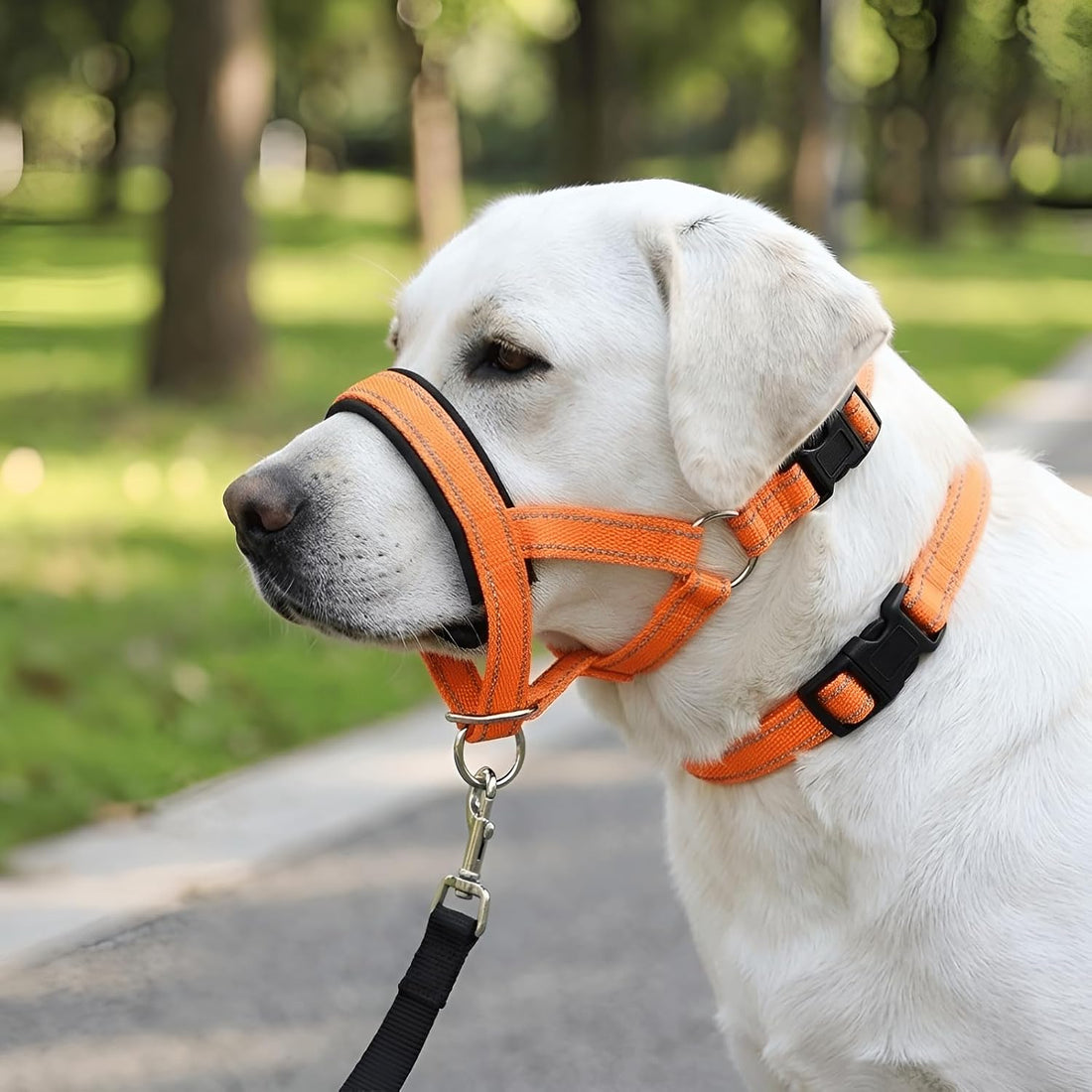 Adjustable Dog Headcollar Muzzle, Nylon, Orange