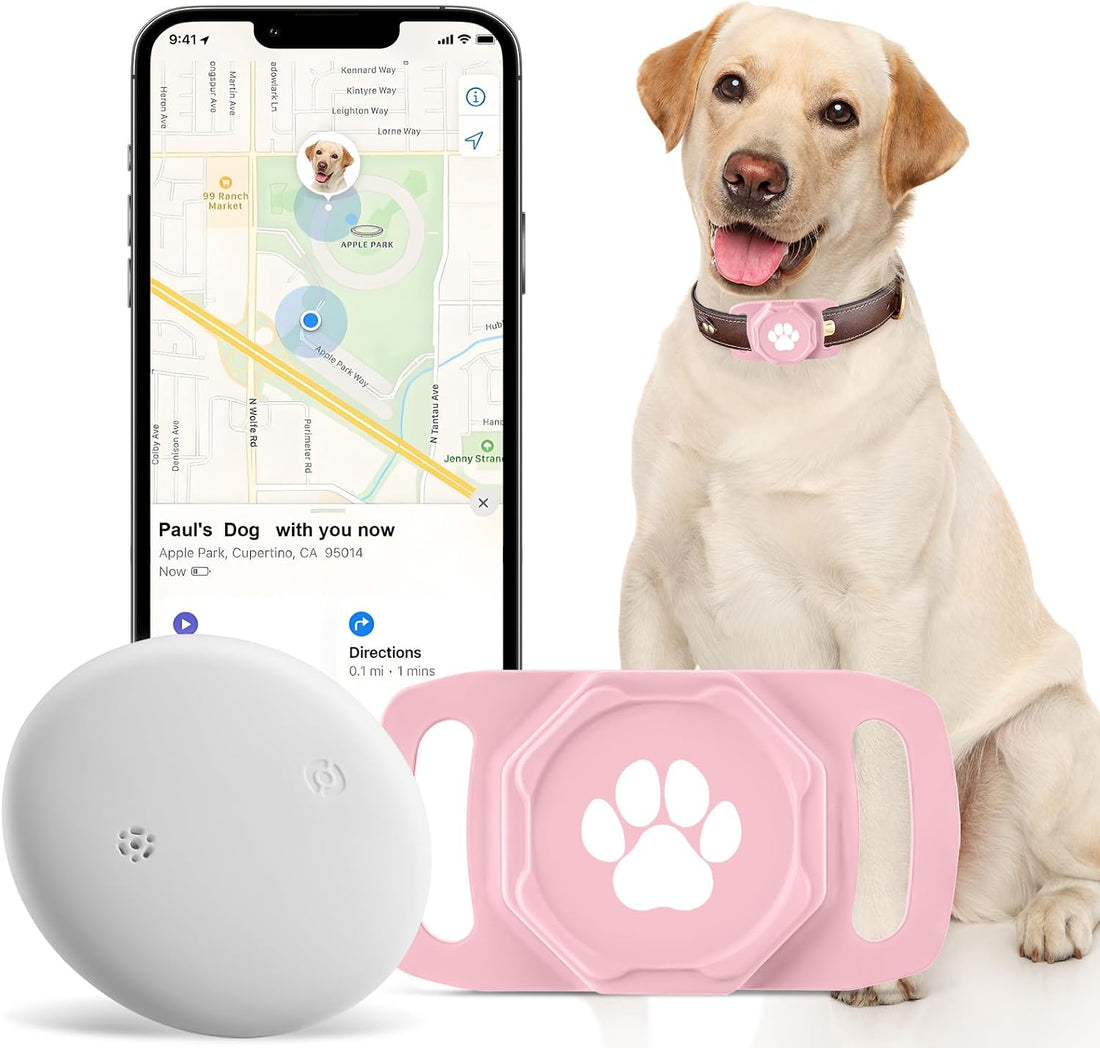 Smart Pet Tracker for Collar