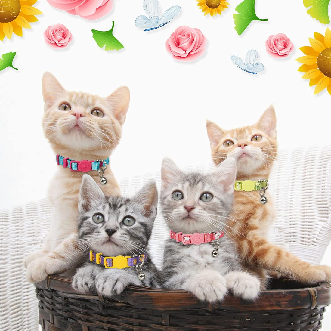 azuza 4 Pack Kitten Collar Breakaway with Bell,Quick Release Safe