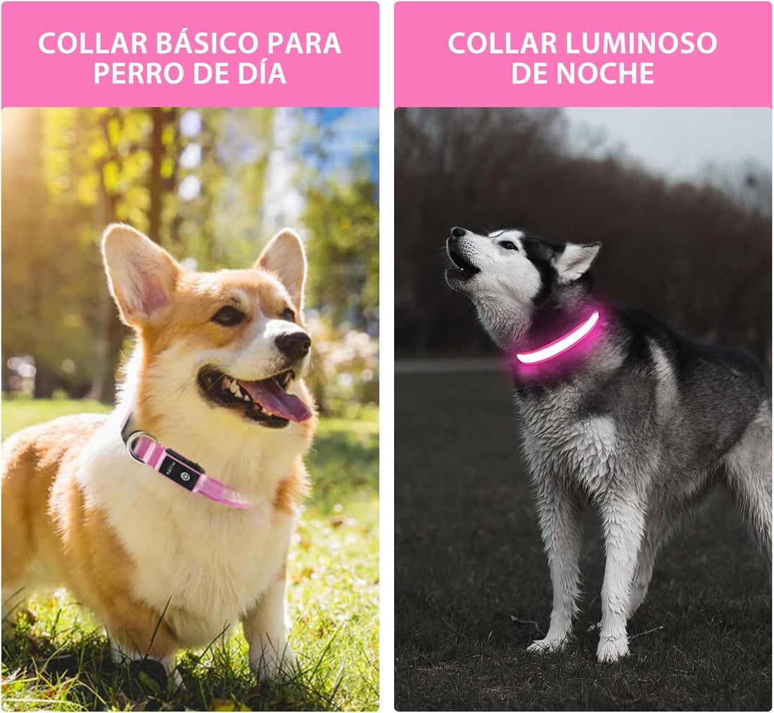 PcEoTllar Light up Dog Collar, Safe for Night Walking, Adjustable