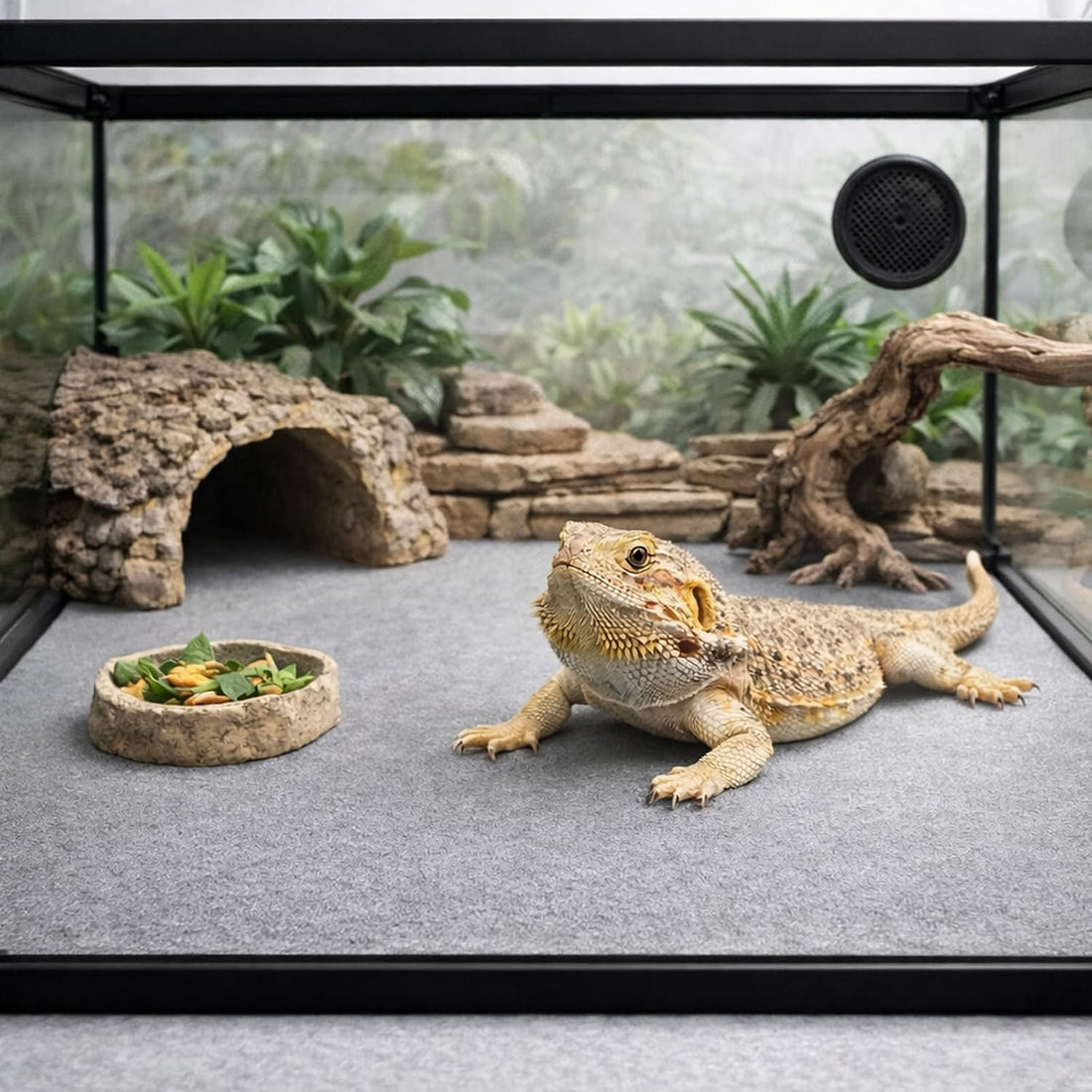 Mechpia 47" x 24" Large Reptile Carpet Terrarium Liner Bedding