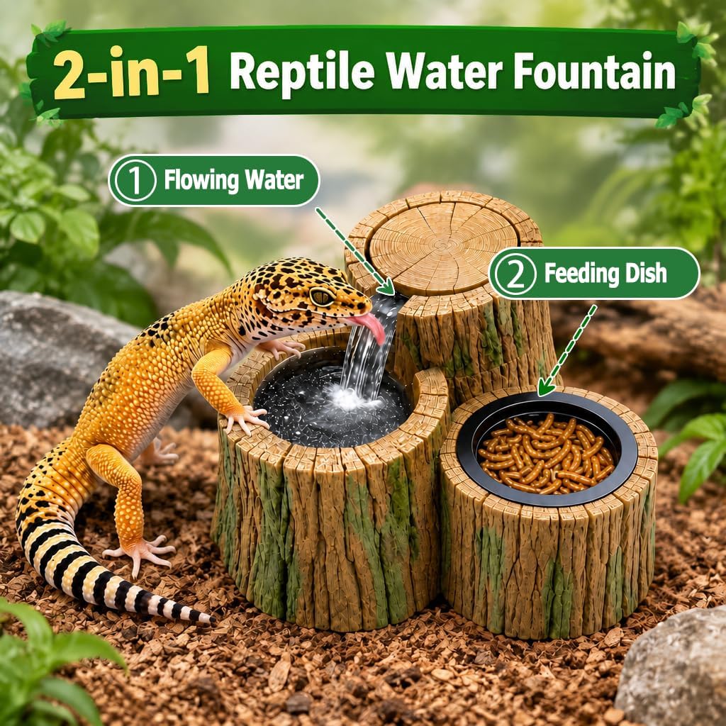 2 in 1 Reptile Water Fountain with Food Dish