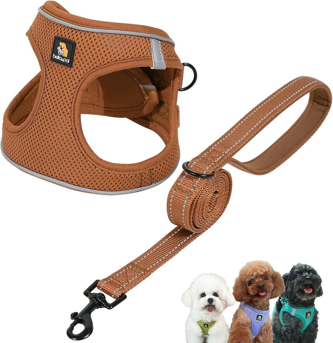 BELLA & PAL Step in Puppy Harness and Leash Set