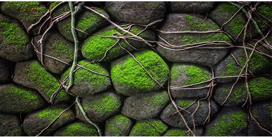 24x12 in Mossy Stone Wall Aquarium Backdrop Rock Fish Tank Background