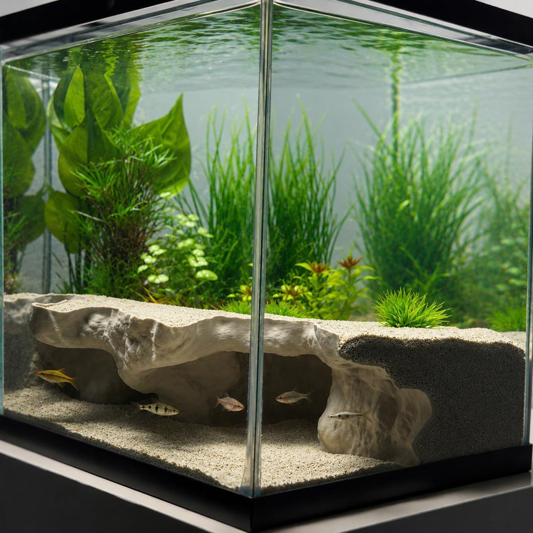 Aquarium Corner Underground Cave