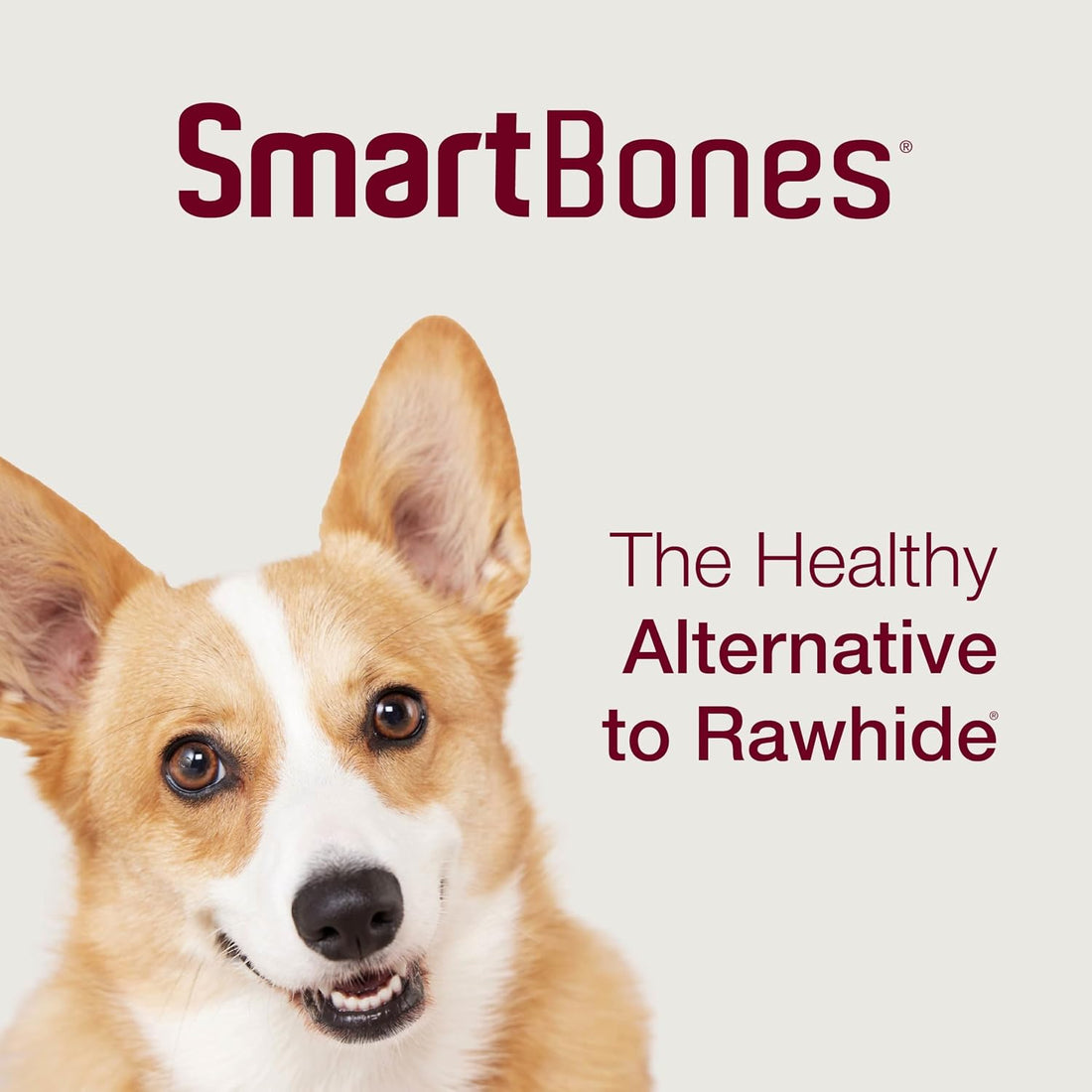 SmartBones Mini Bones Rawhide-Free Dog Treat, Real Peanut Butter