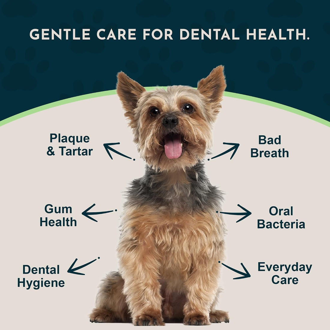 Animal Essentials Sea-Dent for Dog Teeth - 1.76 Oz