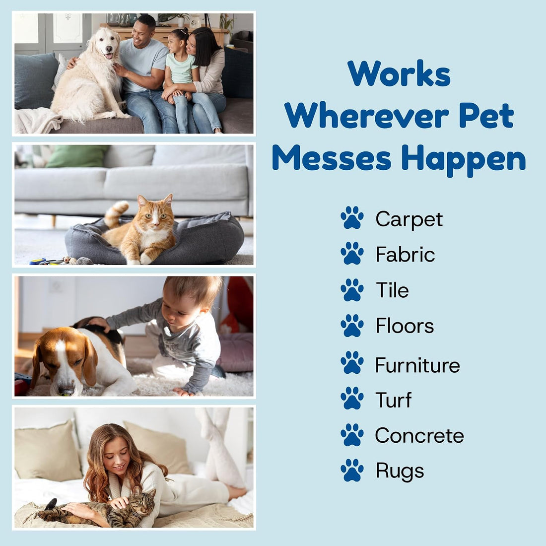 Bioclean Pet Carpet Cleaner & Deodorizer – Eliminates Pet Urine Smell