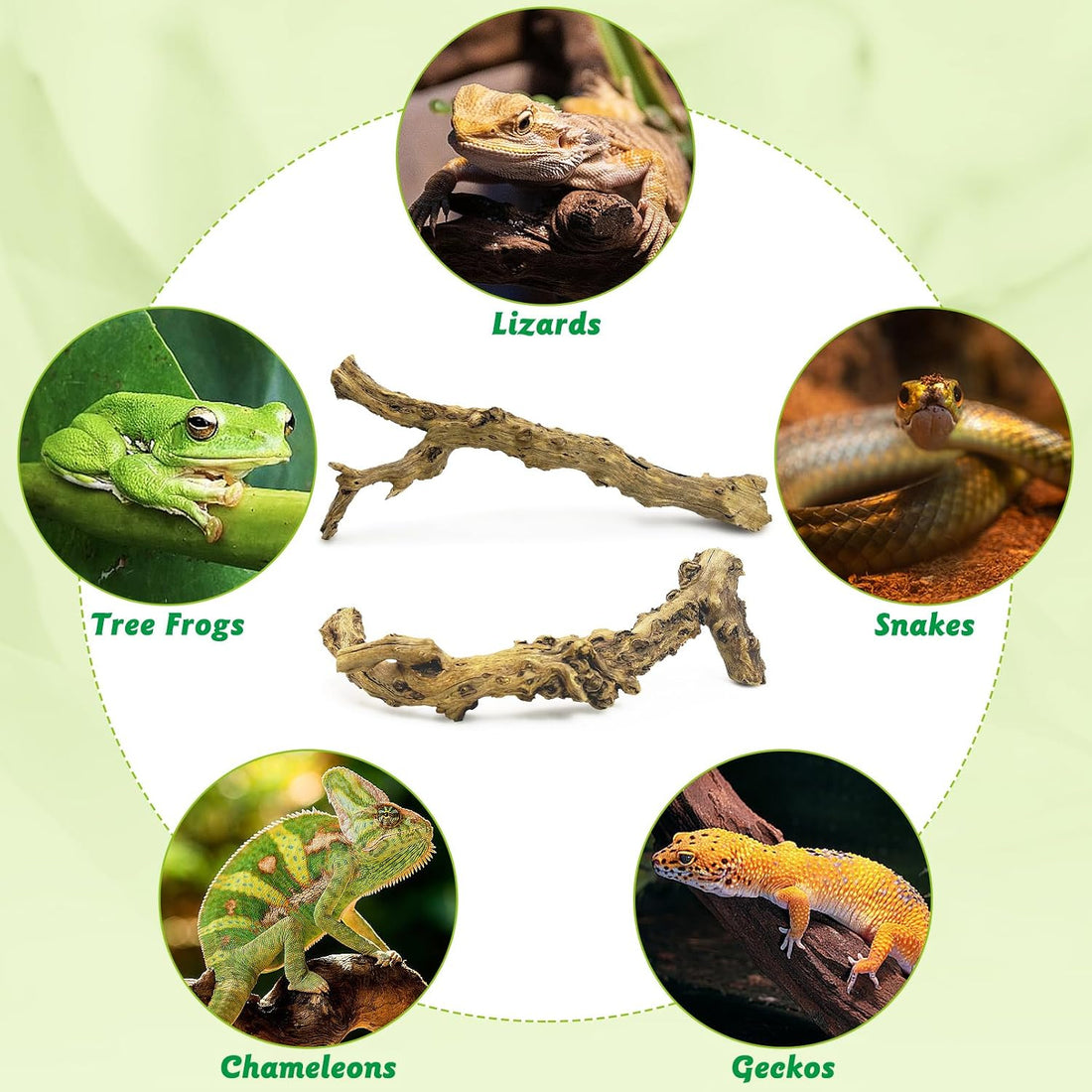 Reptile Branch Decor, Snake Climbing Wood Branches, Terrarium Logs