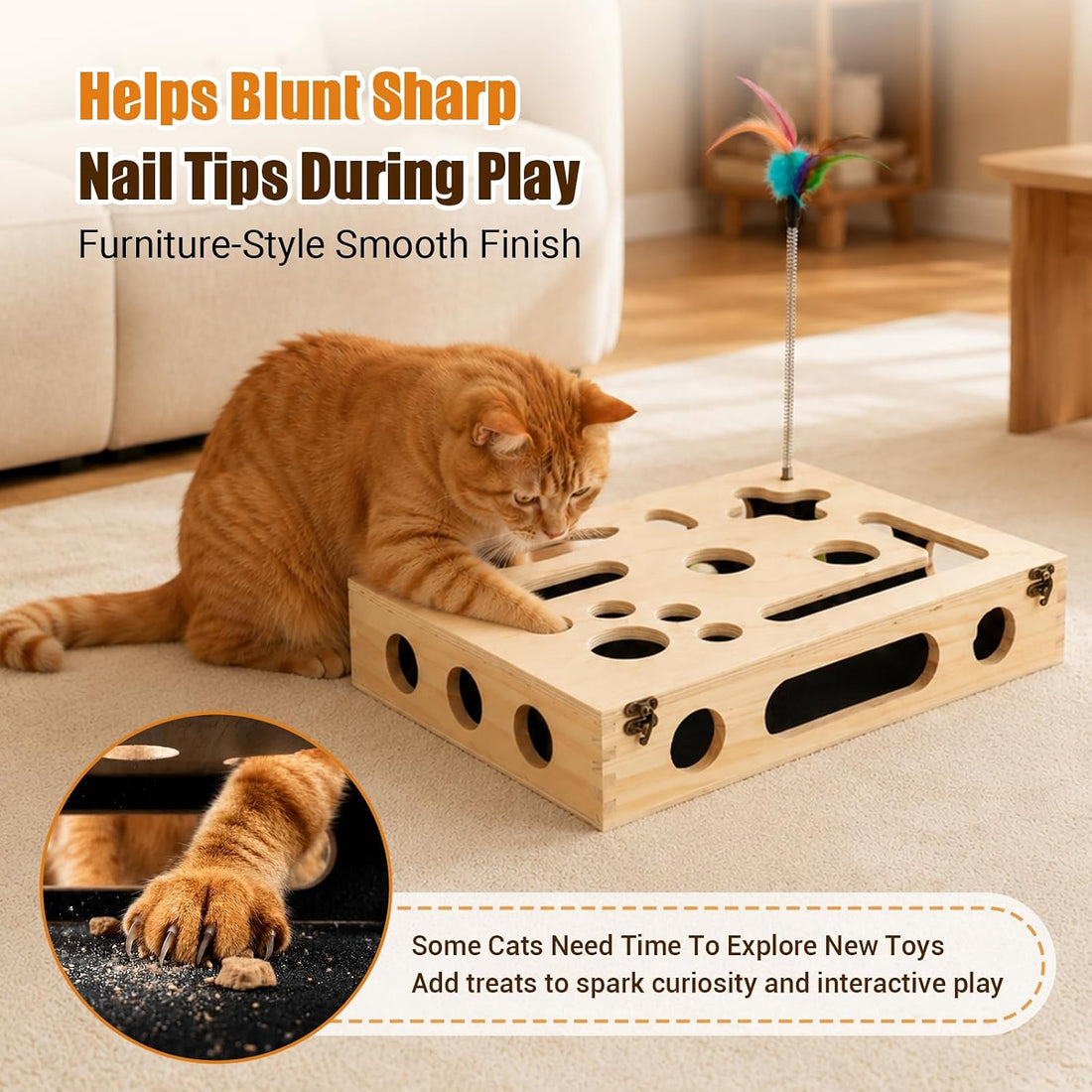 Cat Scratch Puzzle Enrichment Box