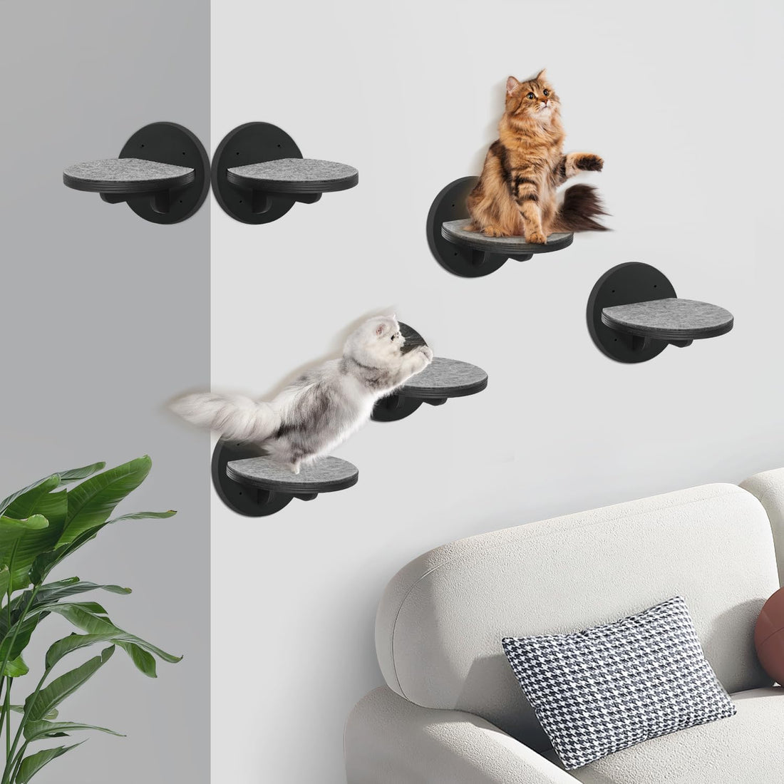 Cat Wall Shelves Furniture Set of 6