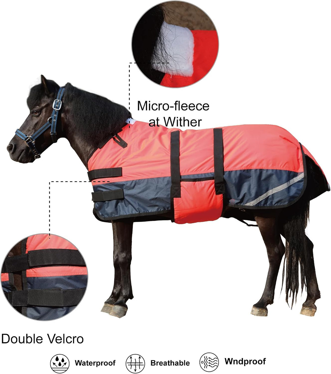 300D Foal/Mini/Pony Horse Blanket, 150g Waterproof Winter Turnout