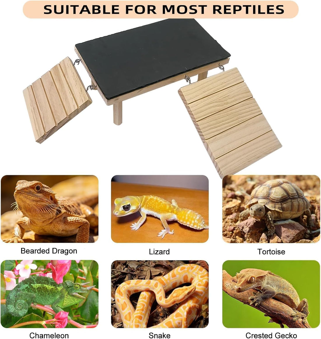 Bearded Dragon Basking Platform with Climbing Ramp & Reptile Rock