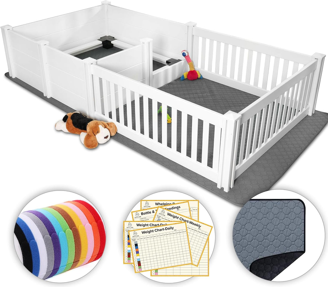 2 Room 96" x 48" Whelping Box for Dogs and Puppies with Rails