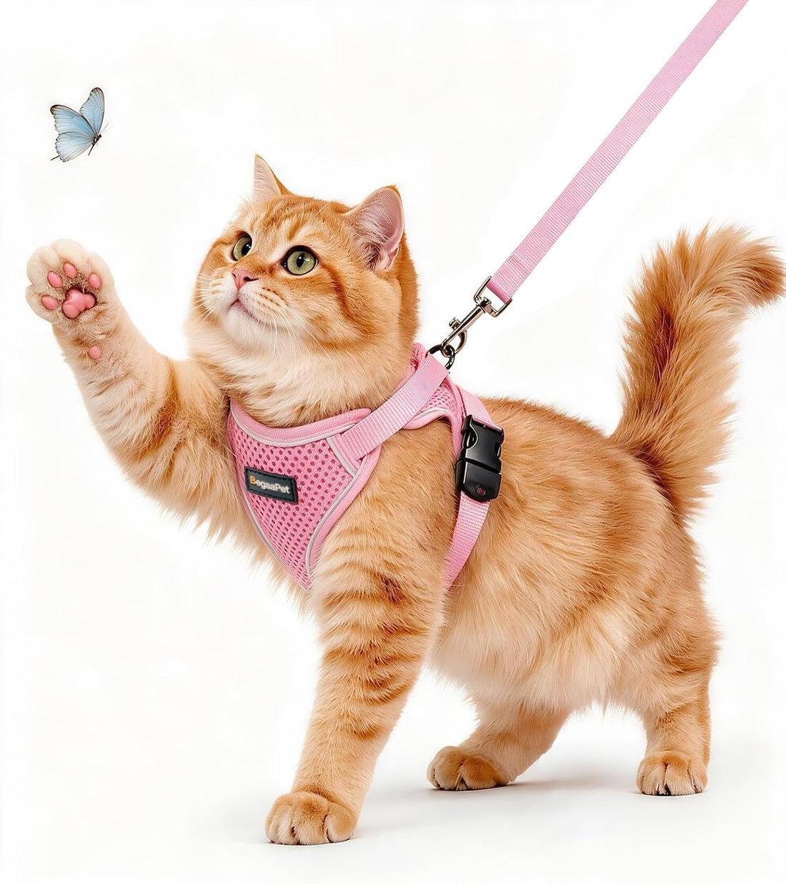 Cat Harness and Leash for Walking