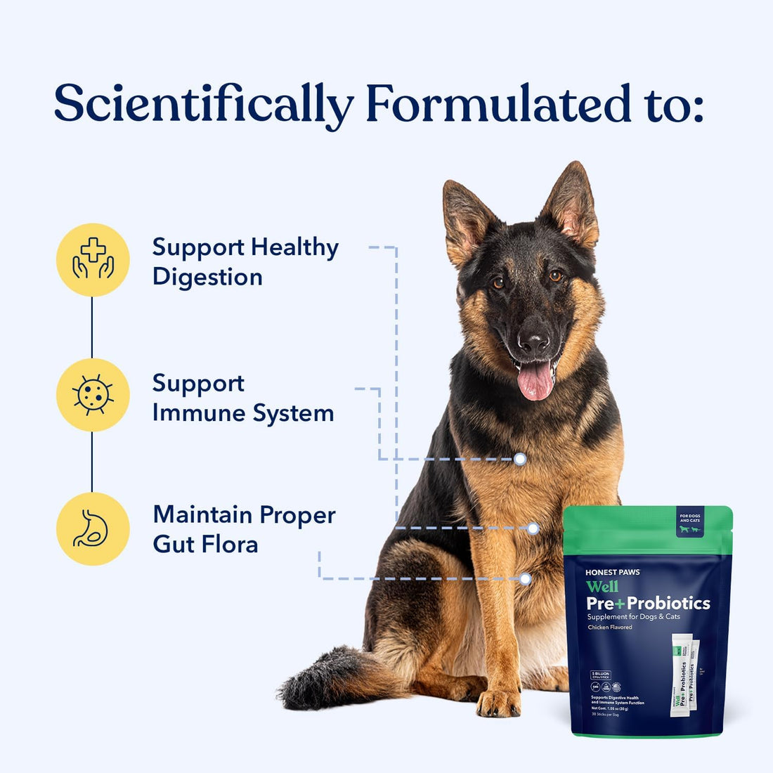 Honest Paws Probiotics for Dogs