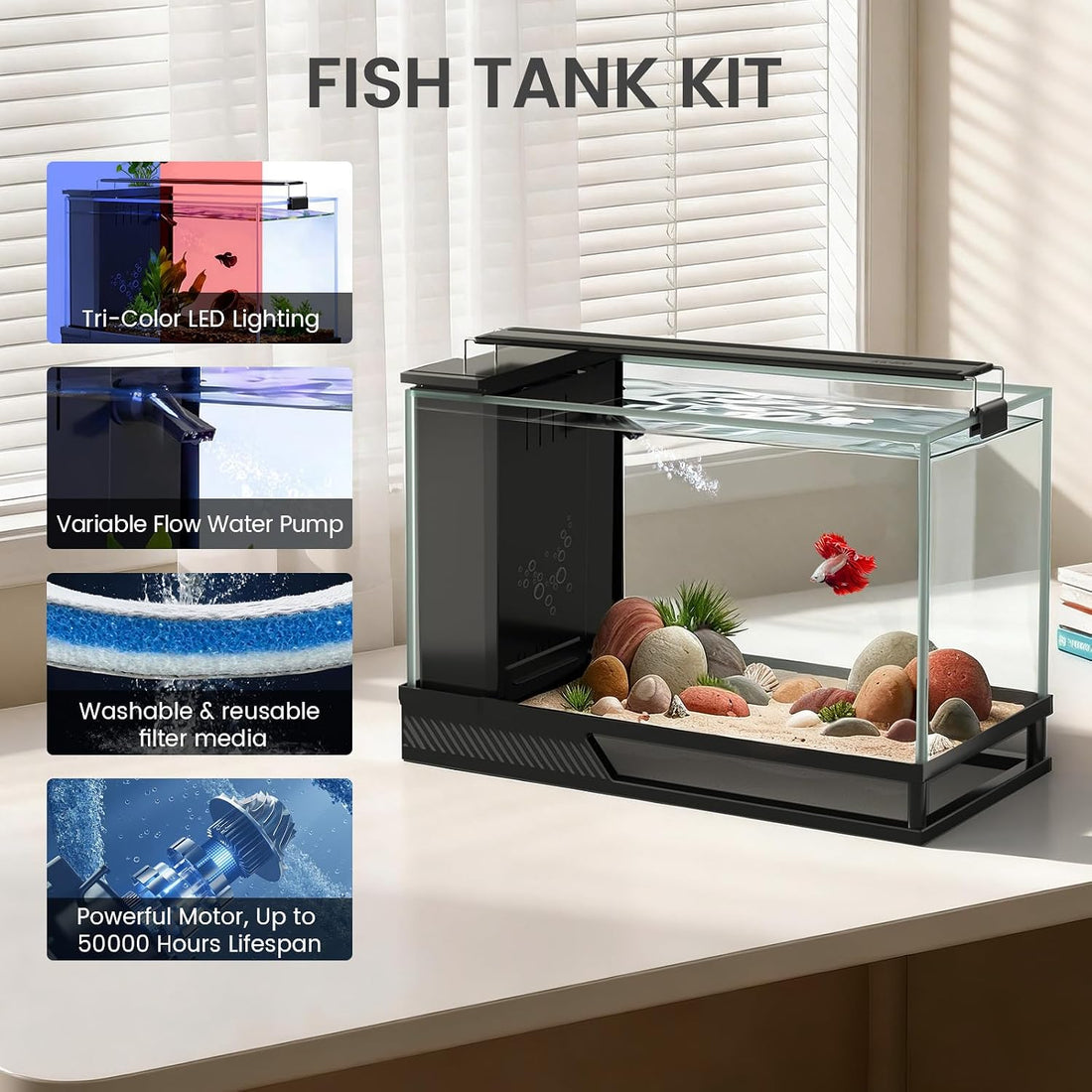Fish Tank Kit Starter Aquariums 4 Gallon with Bottom Drainage