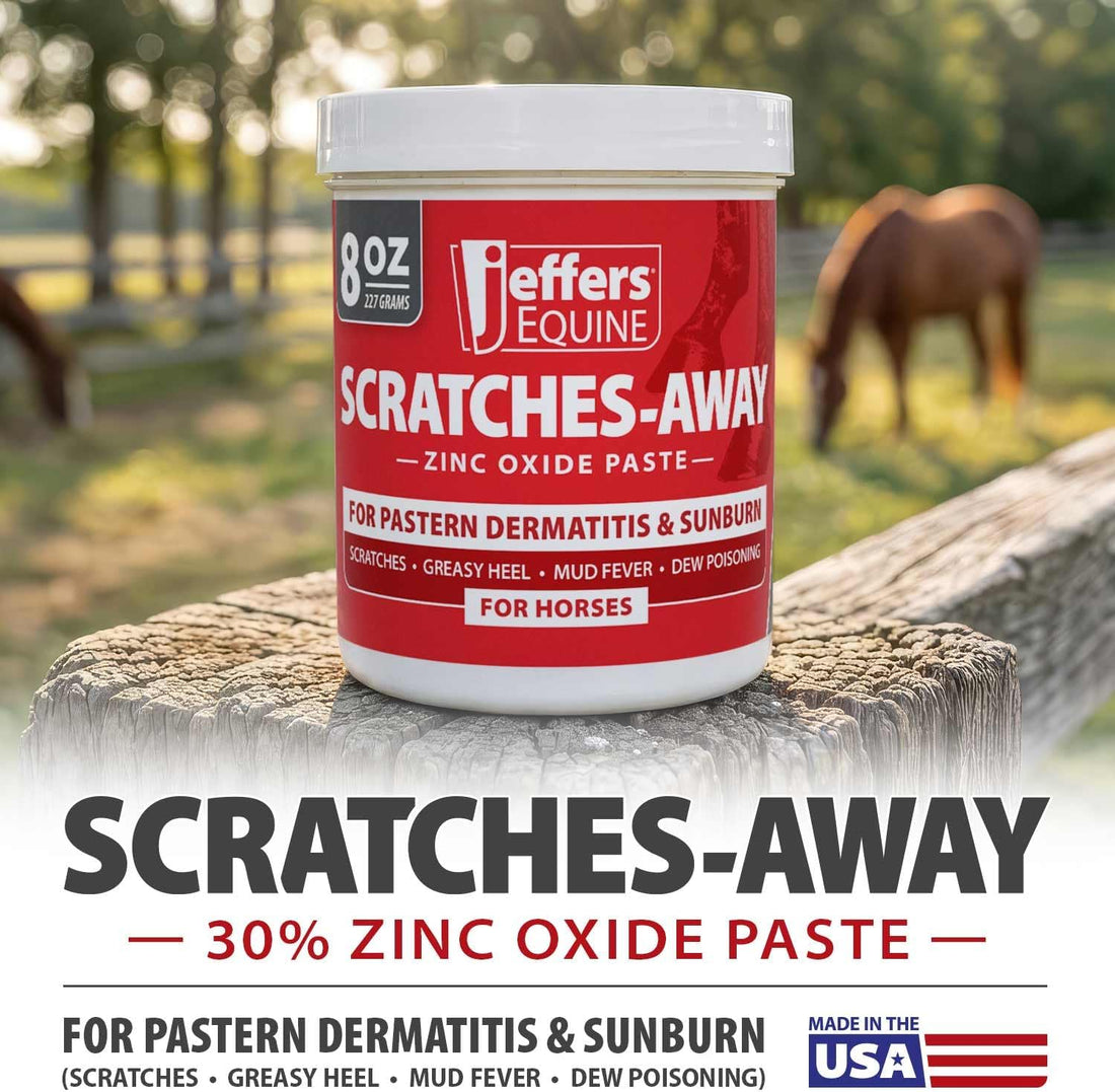 Jeffers Equine Scratches Away 30% Zinc Oxide Paste for Horses