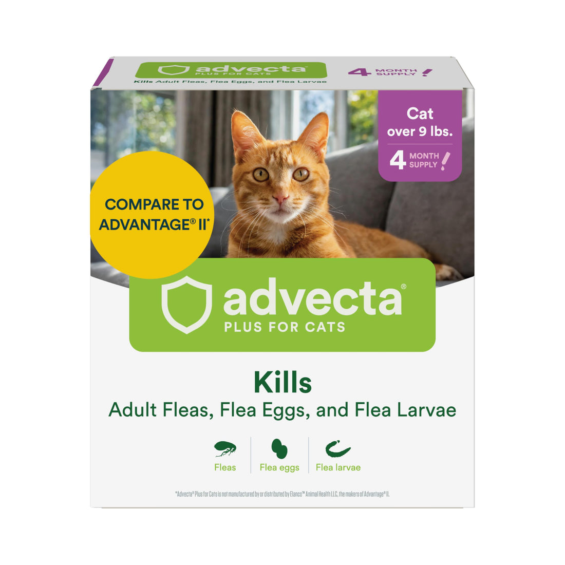 Advecta Plus Topical Large Cat Flea Treatment for Cats and Kittens