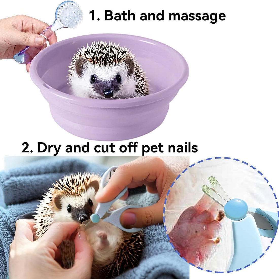 Hedgehog Bath Supplies: Foldable Bathtub, Nail Clippers, Brush, Towel