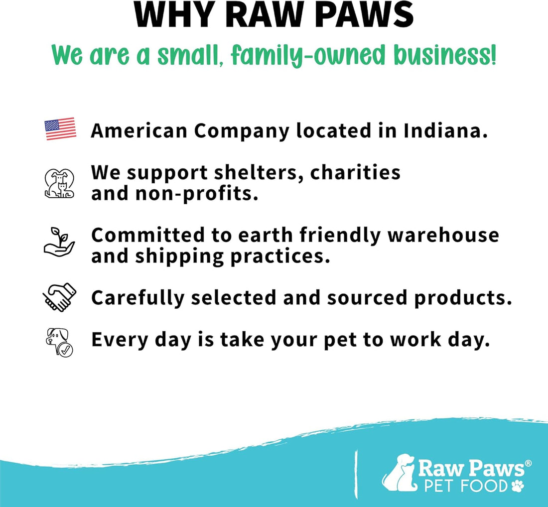 Raw Paws Catnip Balls for Cats (6-Count) - Interactive Indoor Cat Toy