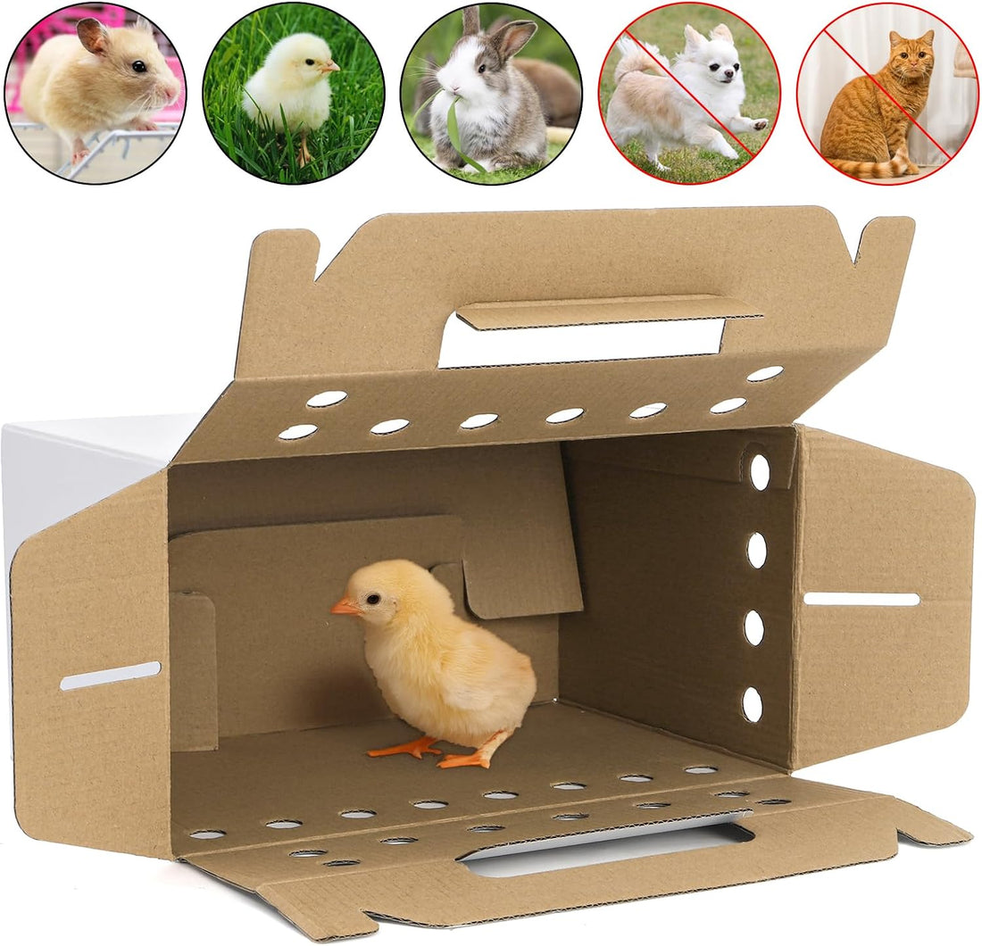 Coloch 20 Pack Cardboard Pet Carrier for Small Pets