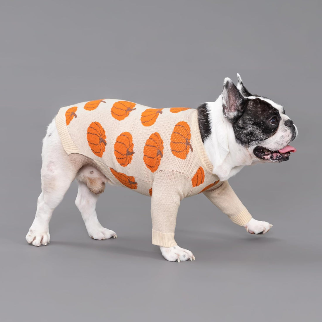 Fitwarm Pumpkin Dog Sweater, Thanksgiving Outfit for Small Dogs Boy