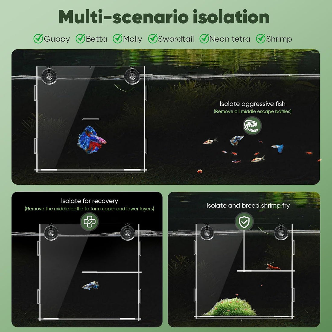 DIY Aquarium Breeding & Isolation Box, Fish Fry Hatchery Tank