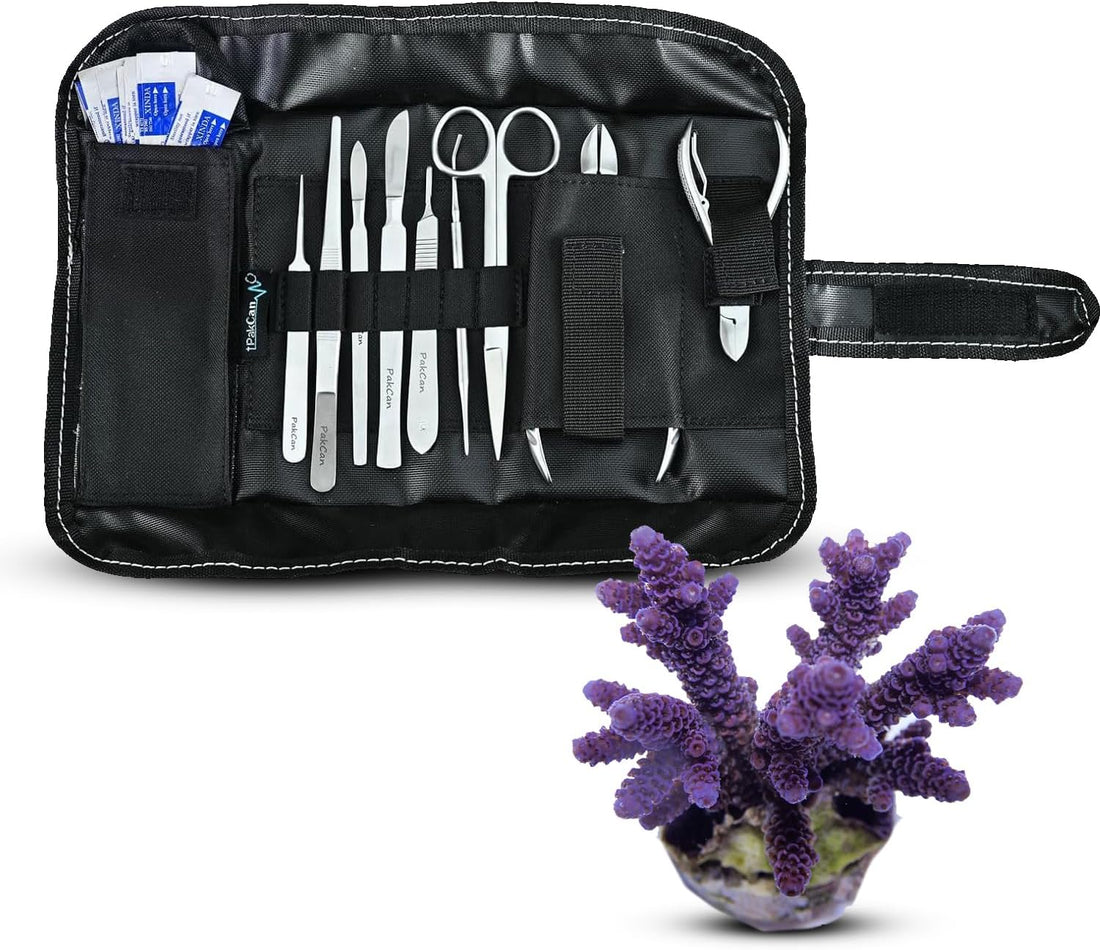 Premium Coral Fragging Kit - Complete Coral Propagation and Fragging