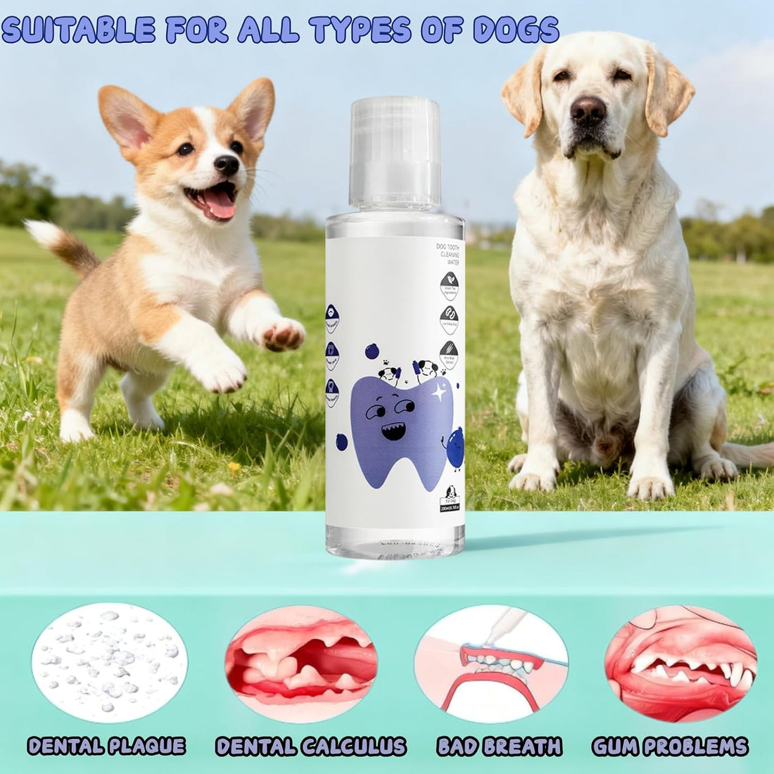 2Pcs Dental Plus,Freshen Breath, Natural