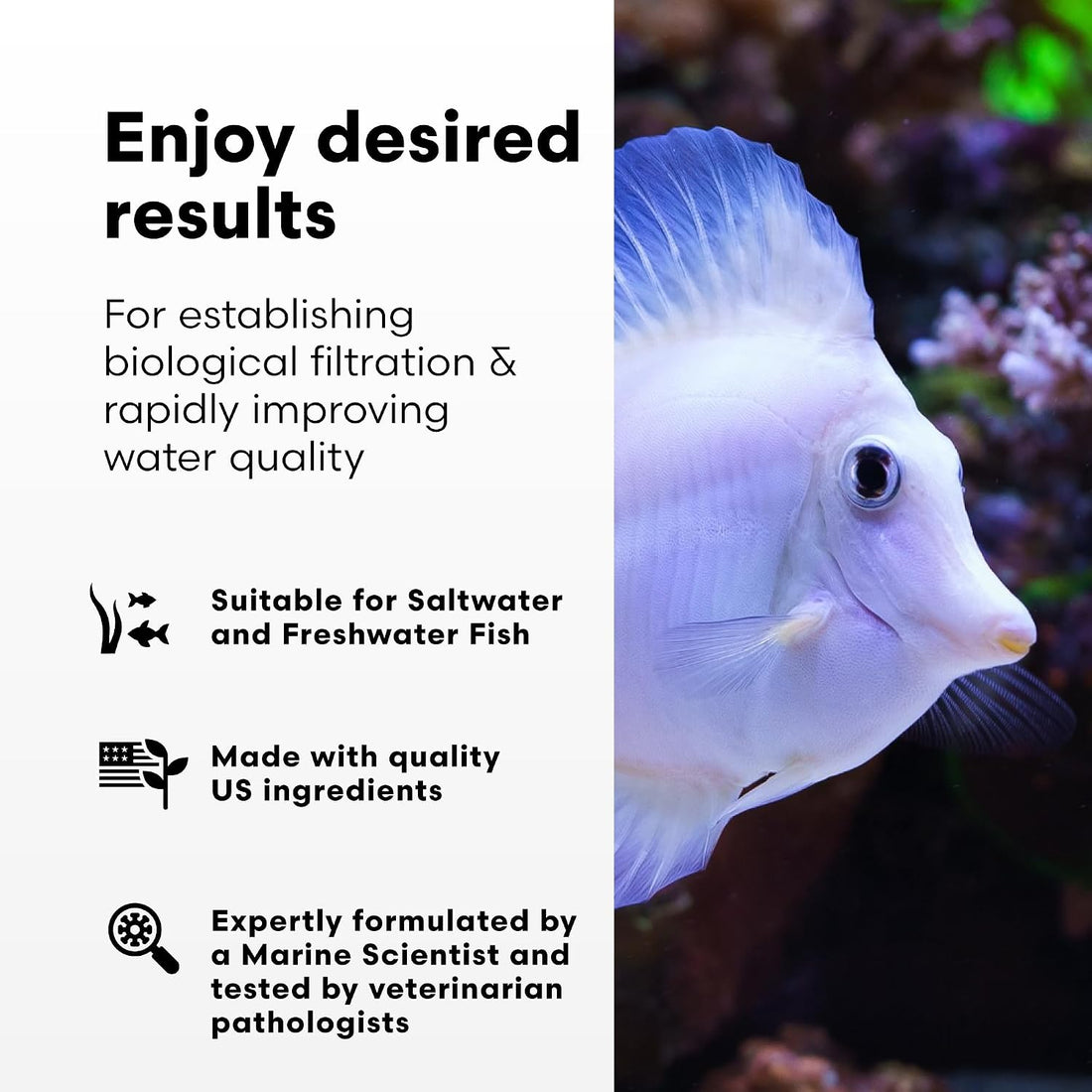 Brightwell Aquatics MicroBacter7 Biological Filter Bioculture Aid
