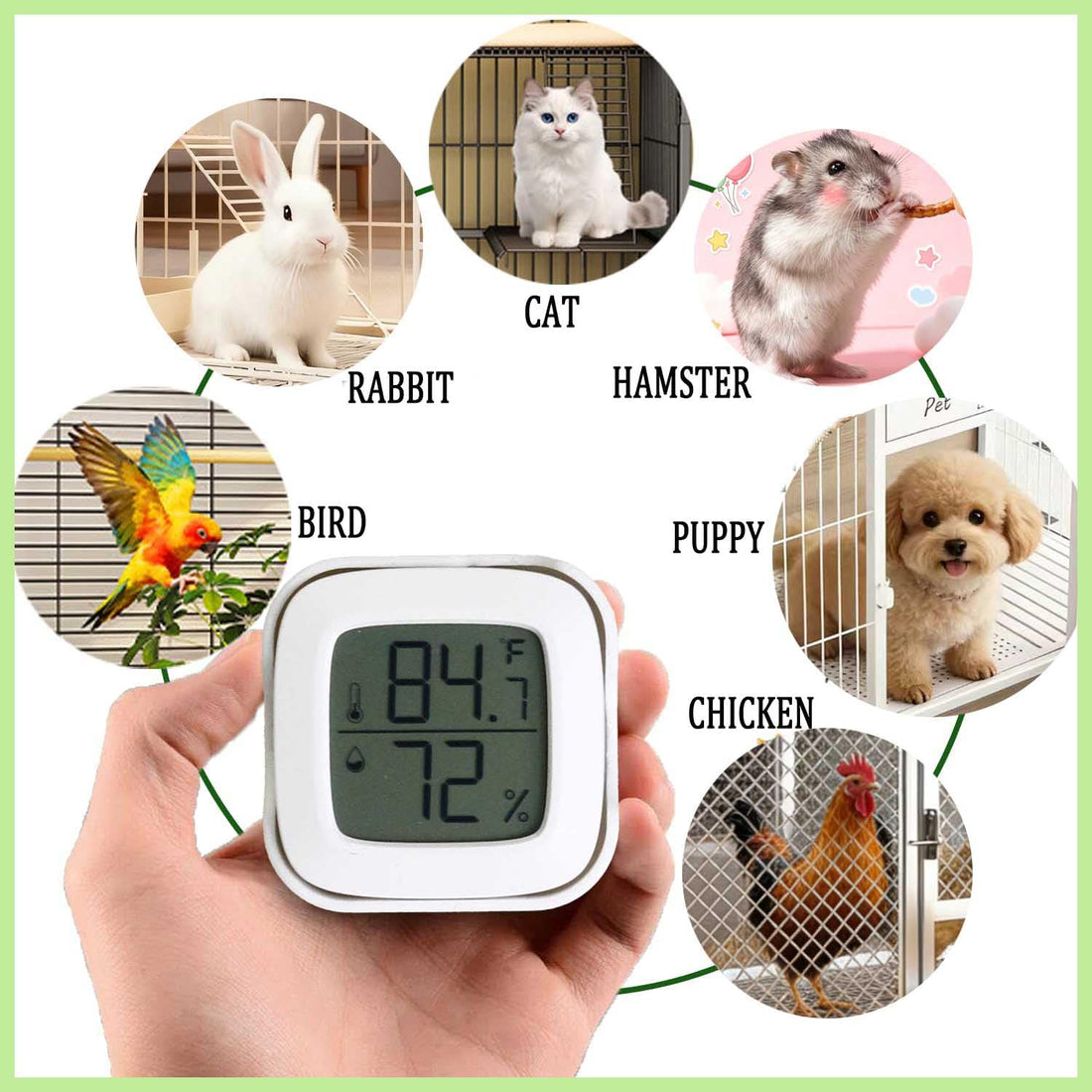 Reptile Thermometer and Humidity Gauge with Suction Cup