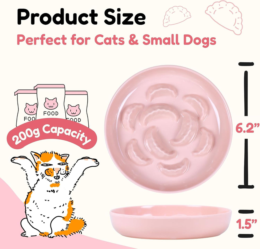2 Pcs Cat Slow Feeder Bowl Set