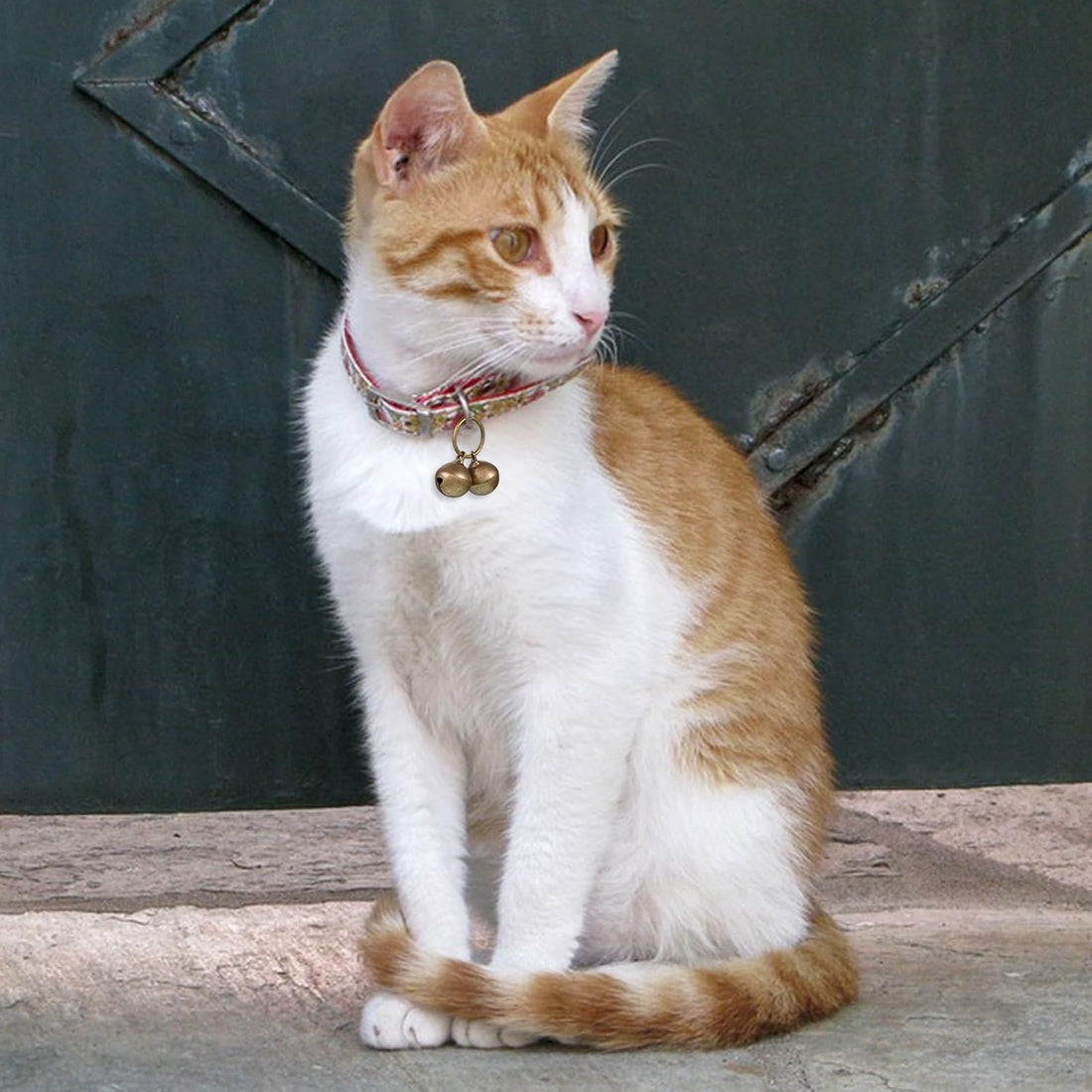 Qulkws 4 Pcs Dog Collar Bells, Bells for Cat Collars
