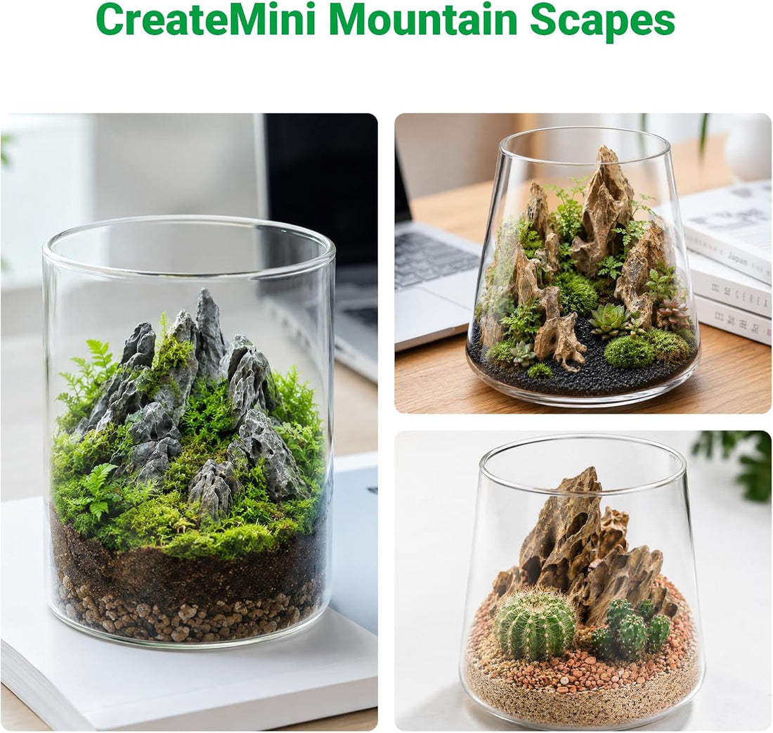 Natural Slate Stone 2-3 in 1LB Terrarium Rock for Miniature