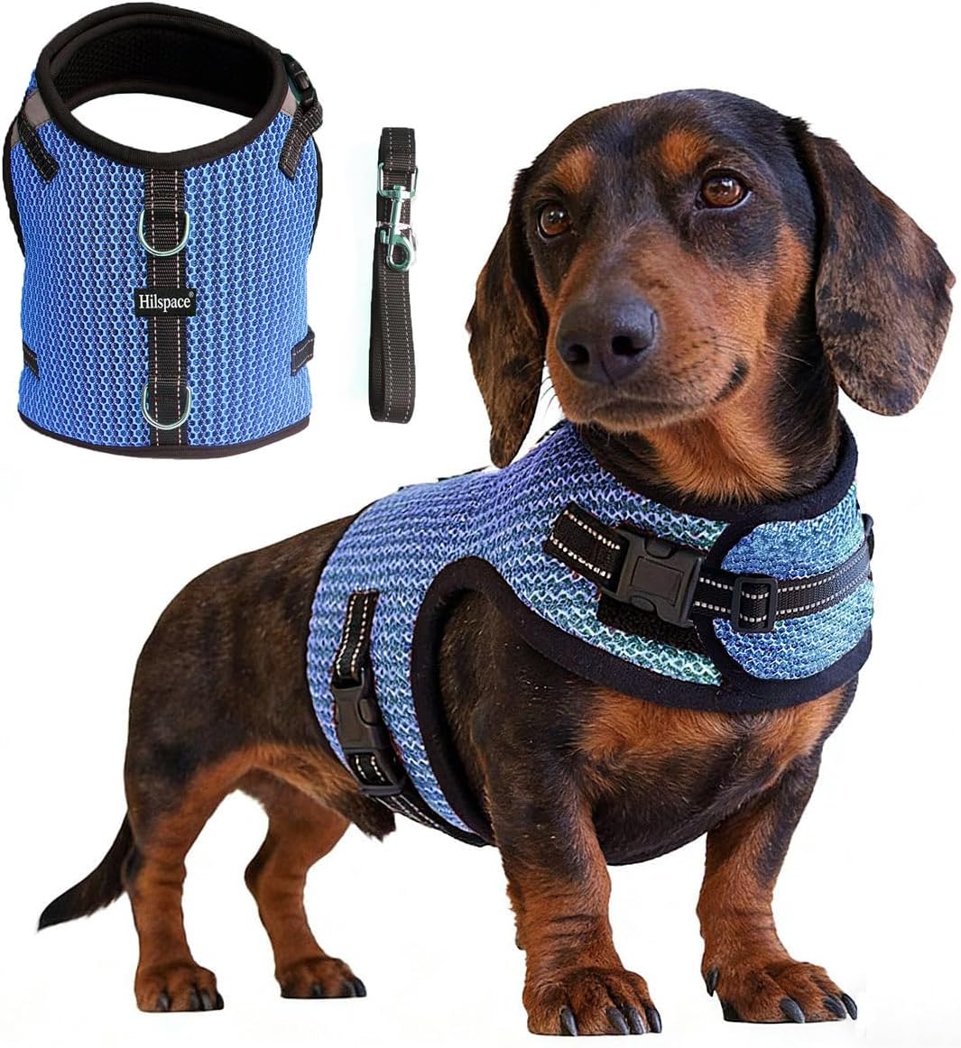 Mini Dachshund Harness Vest, No Pull & No Armpit Rub Dachshund Harness