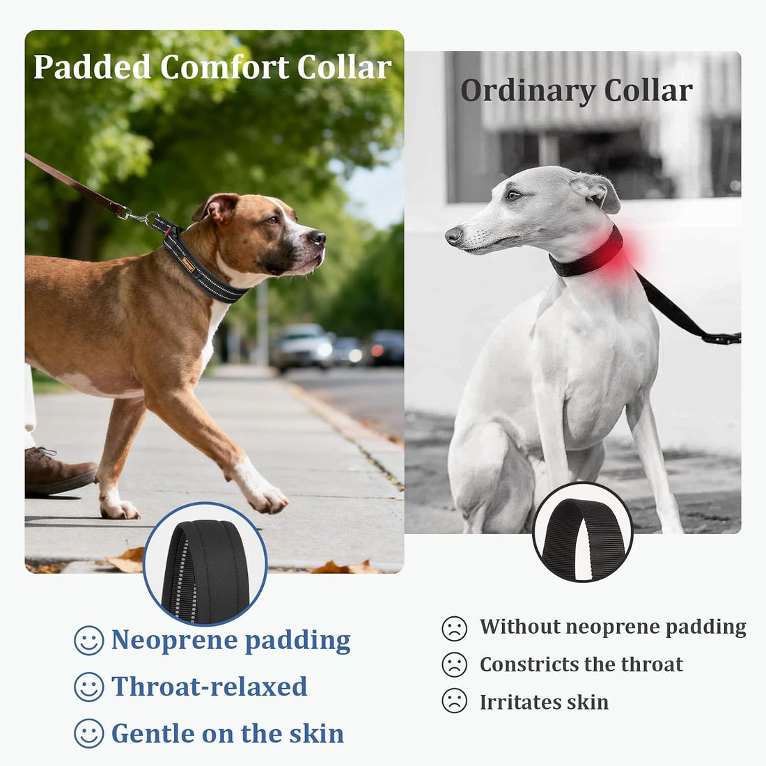Mayerzon 1.5" Wide Martingale Collar for Small Medium Dogs Precision
