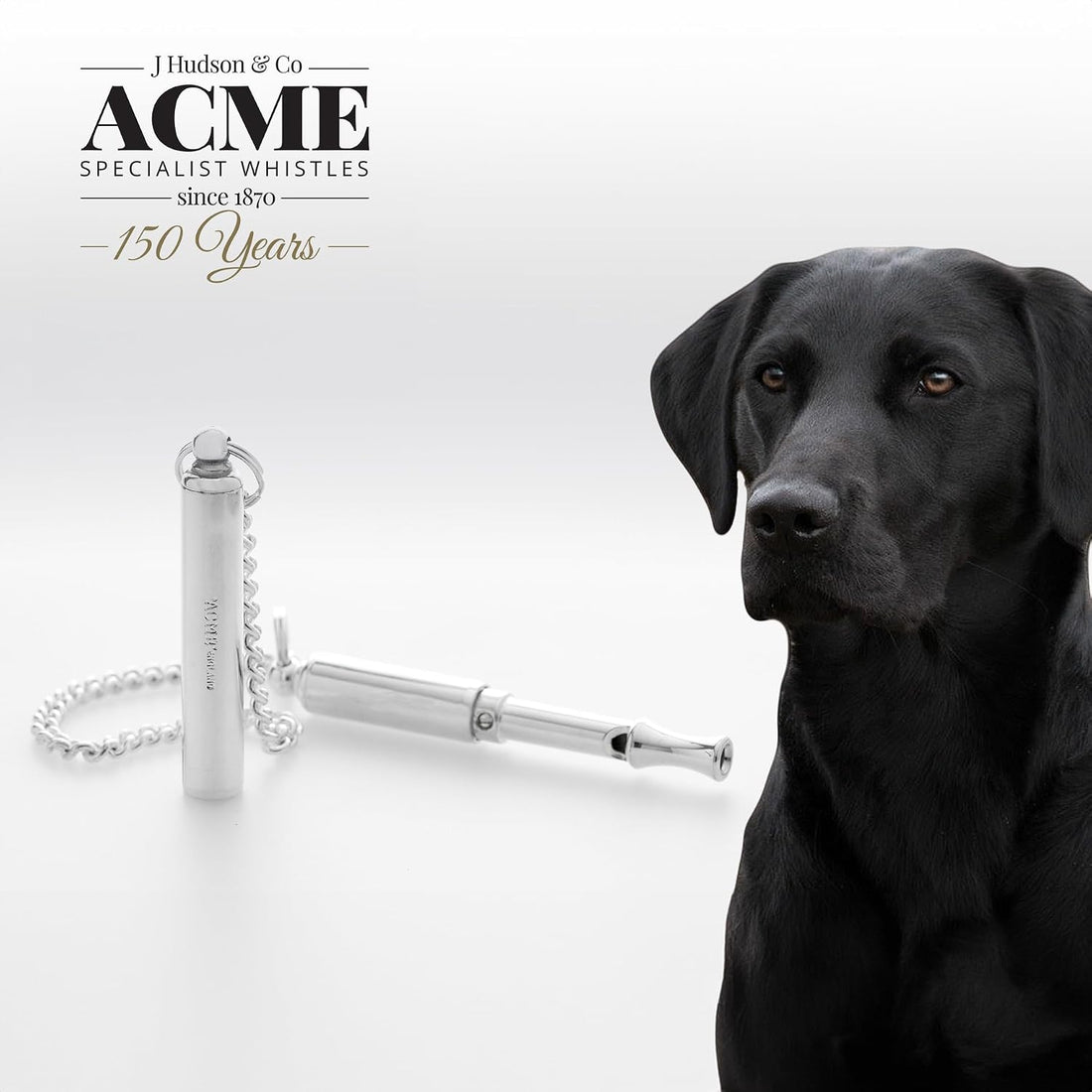 535 Acme -'silent dog whistle'