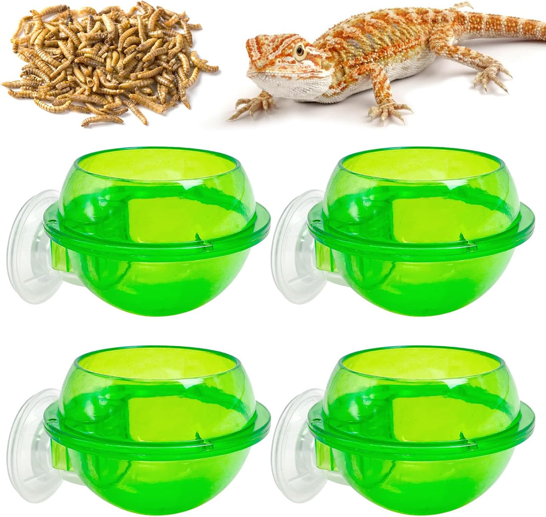 Tfwadmx Chameleon Bowl, Reptile Feeding Feeder,Worm Live Fodder